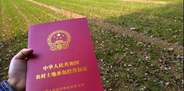 10月1日起中央定调，农村基本农田将迎来新禁令，涉及家家户户