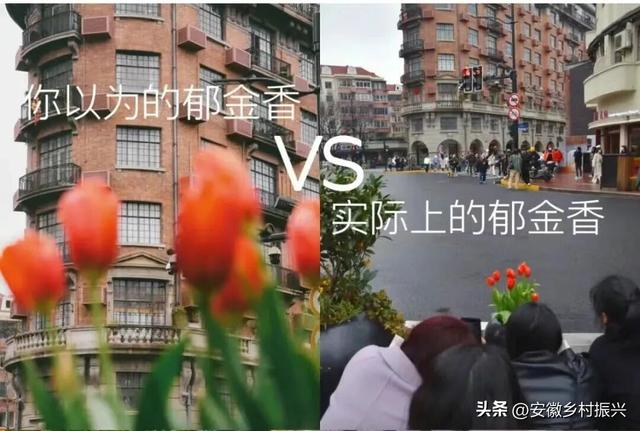 第一批抵达网红景点的游客，已被诈骗......