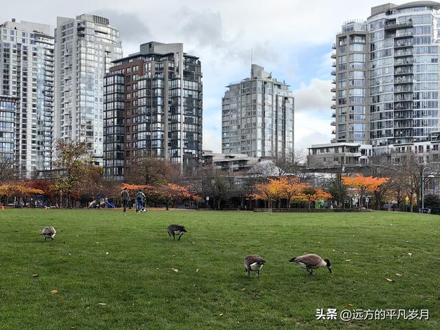 温哥华游记（六）