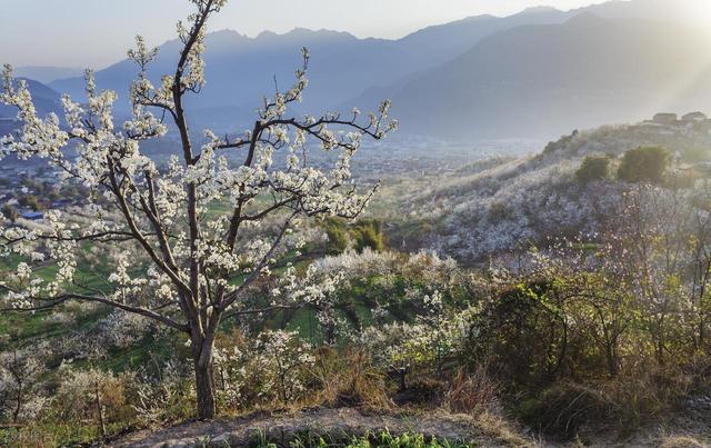 3月4月，10处绝佳踏春地，寻春踏青安排起来