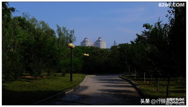 山东行游影记（17）—济南山东大学（四）