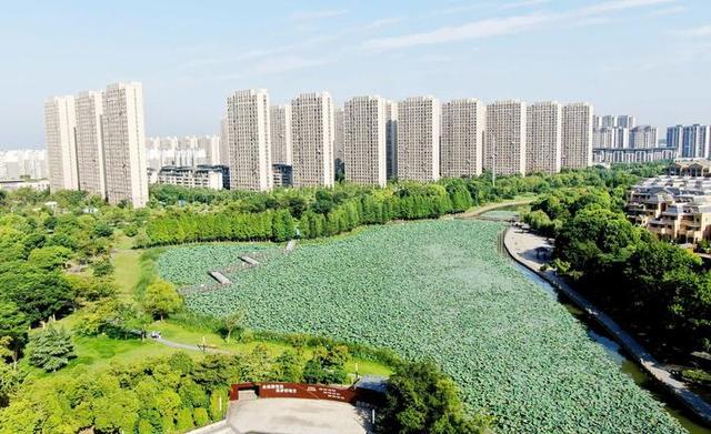 中秋赏月哪里最好？记者实地探访，绘制公园赏月地图