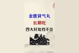 揭秘！金匮肾气丸长期服用的四大无法抗拒好处图片