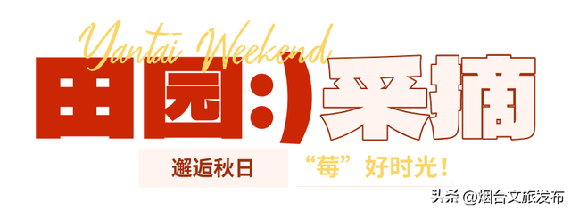 【乐游烟台】周末好去处丨免费拍逛玩！烟台新展太靓了