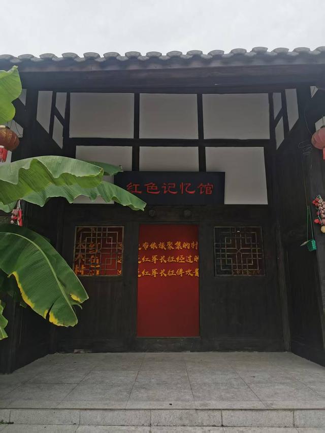 贵阳修文：古杏“红土”有“大木”