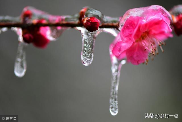 “上午立冬冻死牛，下午立冬暖烘烘”	，今日立冬不一般，有啥说法