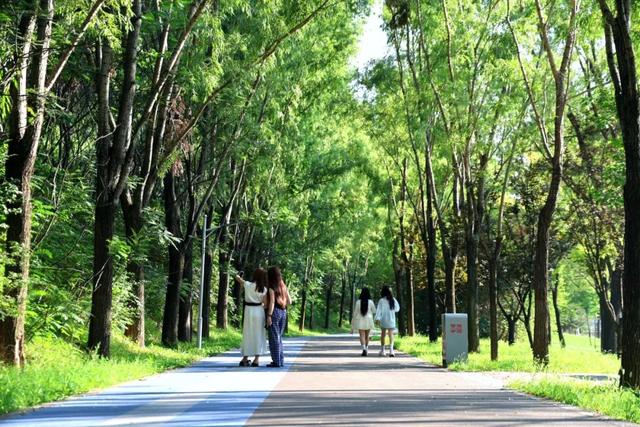 在黎城，过一种自带清凉的夏天