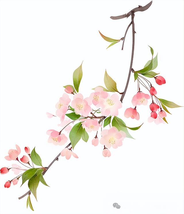 来体验，你没见过的小镇四季！