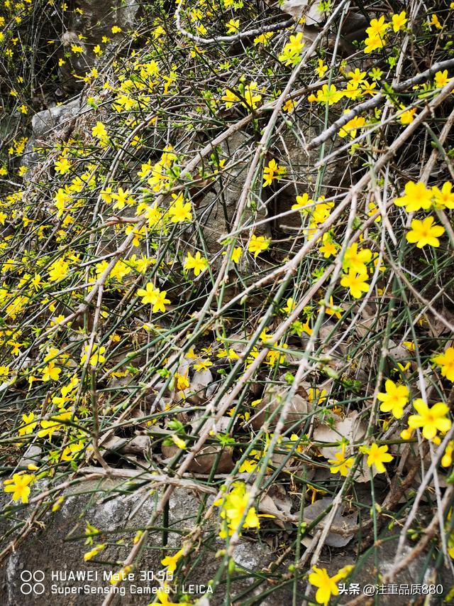 据我实际体验，冬天不宜自驾游