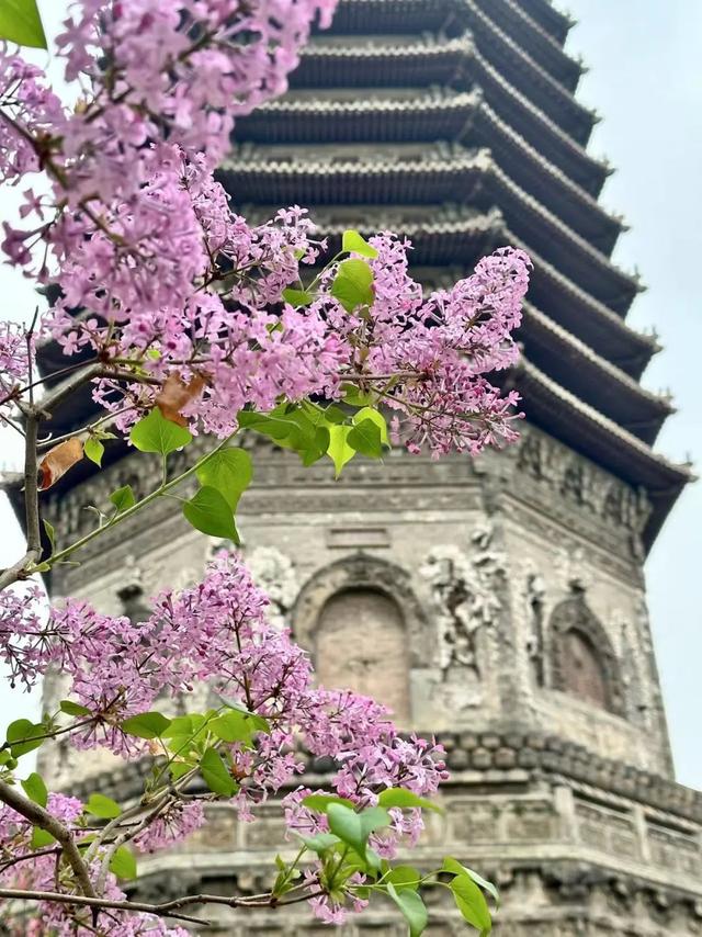 当一位普通北京市民爱上逛公园