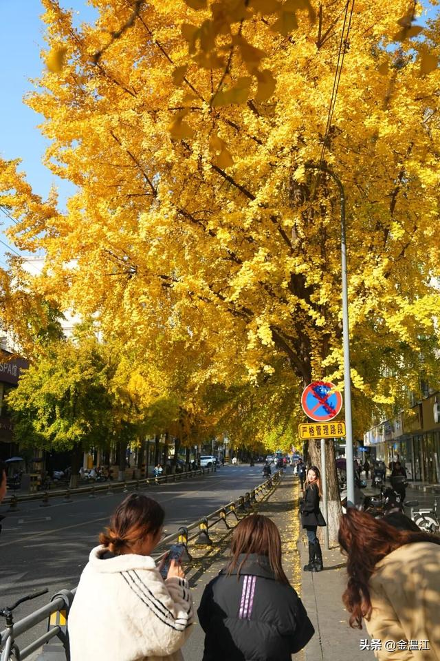 在“杏”福满满的大南街！这样拍超出片