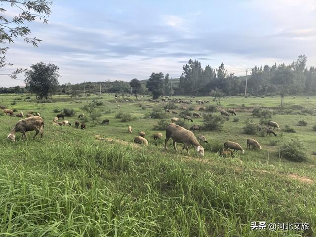 绝美骑行路线！七里河健身绿道北岸全程揭秘，每一帧都是风景画！