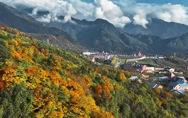 划得来！秋天来西岭雪山看彩林，门票直接免了！
