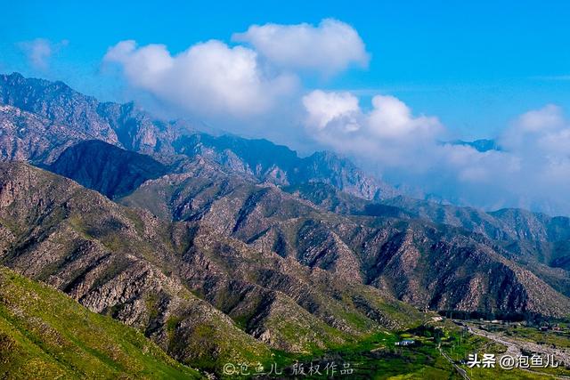 自驾宁夏意外发现：贺兰山变绿了！背后原因让人点赞