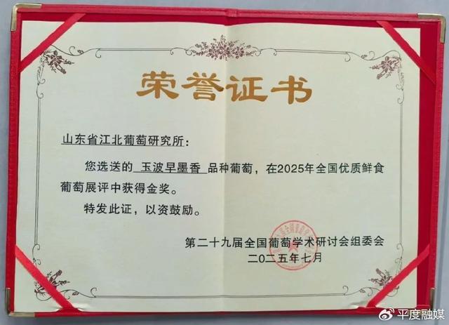 喜报！大泽山葡萄再获金奖！