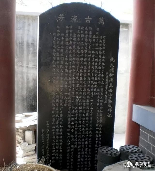 老济南的“百年北大槐树街”