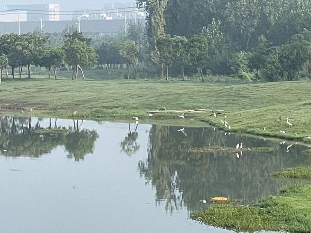山地单骑两百骑游全椒大墅马厂