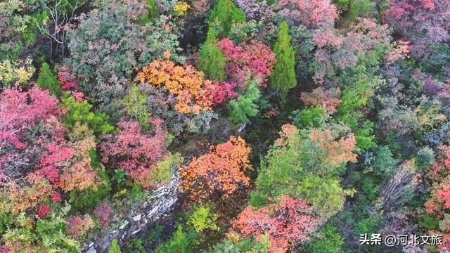 秋日里的诗意狂想曲，等你来赴约！