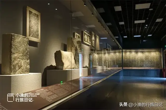 陕西这片“海”超浪漫！万千海鸥在此越冬，西安1小时直达！