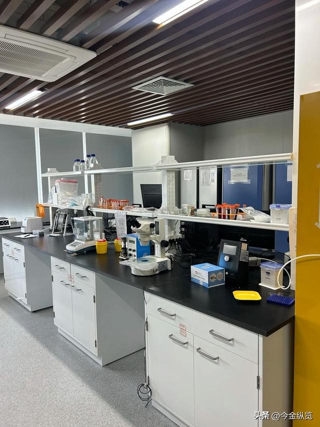 致命15秒：几滴液体穿透手套，顶尖科学家实验室殒命，警示全球！