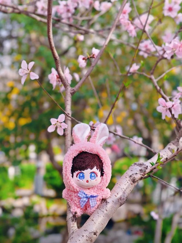 2025四季巡礼！100位寻美客邀你共绘最美泉城图鉴