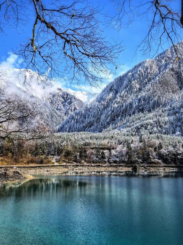 九寨沟冬日限定皮肤上线！快来九寨沟赏雪林彩池啦~