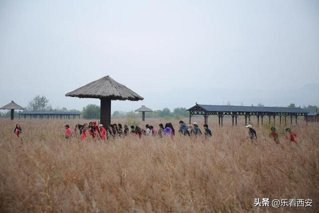 “重阳踏秋・溯古寻风 ”让渭南文脉与重阳敬老温情深度交融