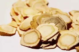 长期吃西洋参，身体会收获5个好处，但这4类人尽量少吃或不吃图片