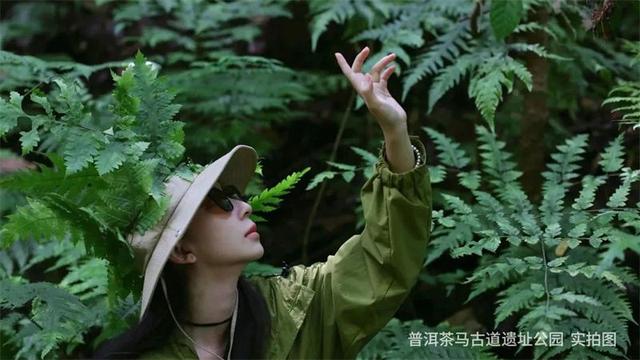 7月“火”力全开！湄公河旅游邀你纵情狂欢火把节