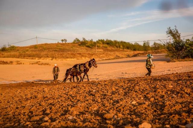 粮价二十年没涨，农民种地还能挣钱吗？深挖背后发现涨价才是好事
