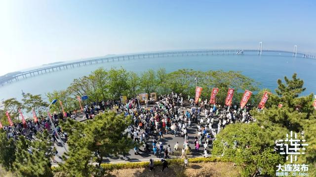 16.35万人！这是大连独有的风景！