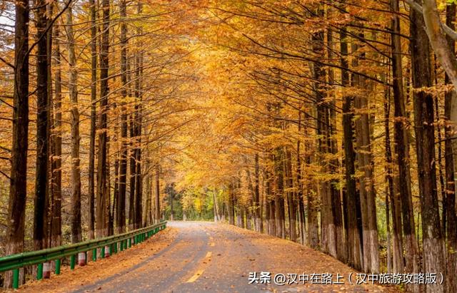 全国十佳！汉中这条公路太火了！