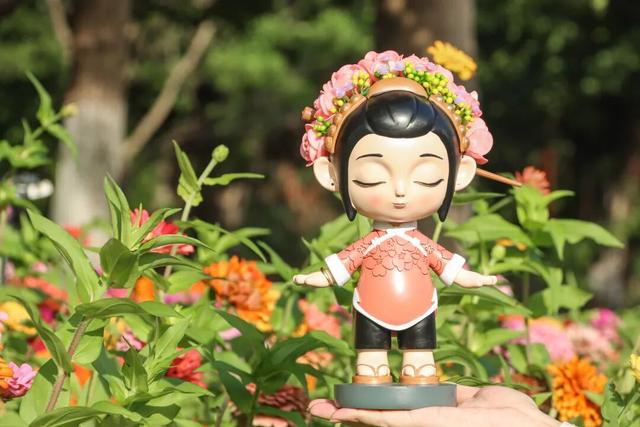 邂逅秋日烂漫：丰泽这片花海美丽绽放，就藏在……