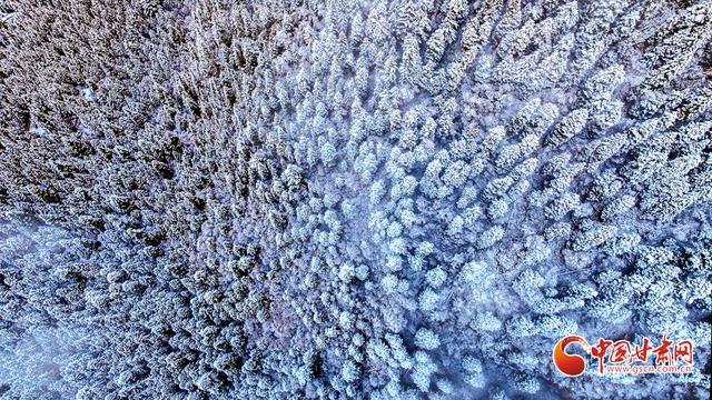 陇拍客丨甘南：扎尕那雪后初霁 云雾缭绕美如画