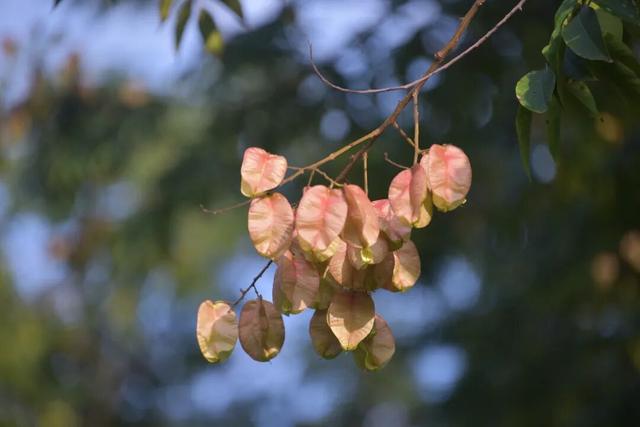 拜托，这真的很好看啊…