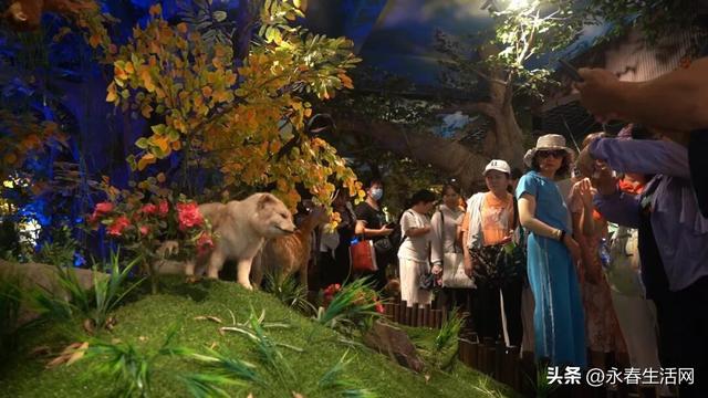 千人共赴永春牛姆林！永春旅发组织厦漳泉龙岩游客体验非遗盛宴