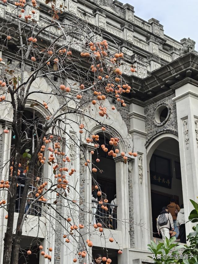 武汉十二月——一月一帧藏走过2025的四季光影