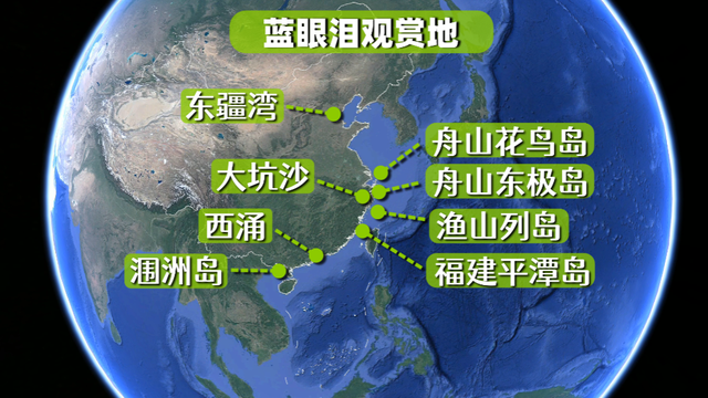 23岁花季少女前往浙江观看蓝眼泪，9天后发现遗体，她经历了什么