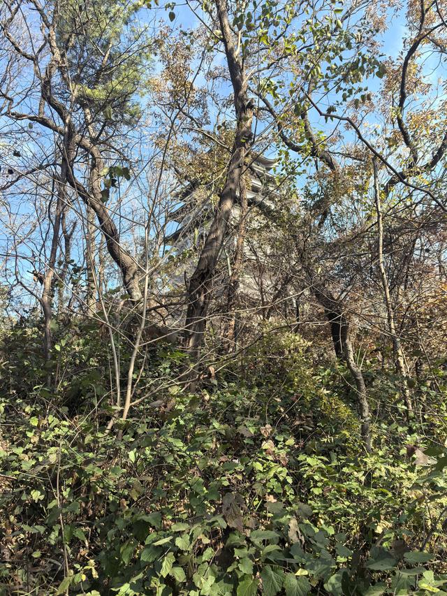 南京老山郊野一日徒步，从狮子岭兜率寺到汤泉惠济寺