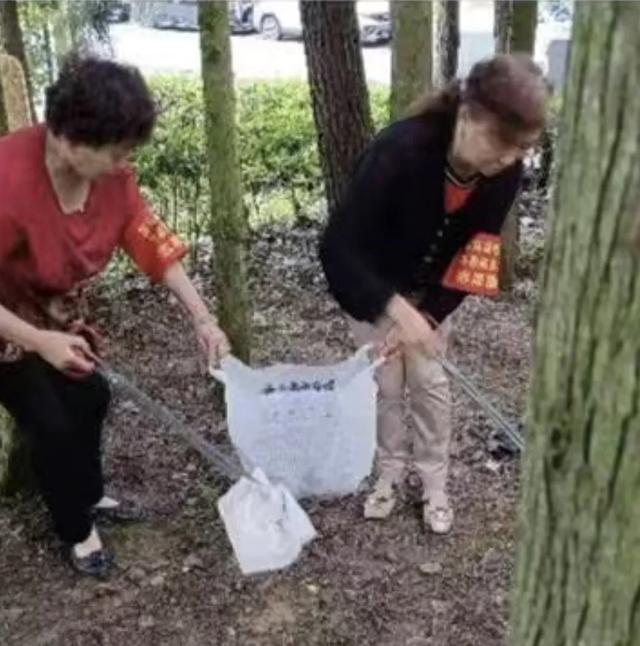 苏马荡密林里流淌着他乡变故乡的情怀，诠释者竟是一群外乡老人