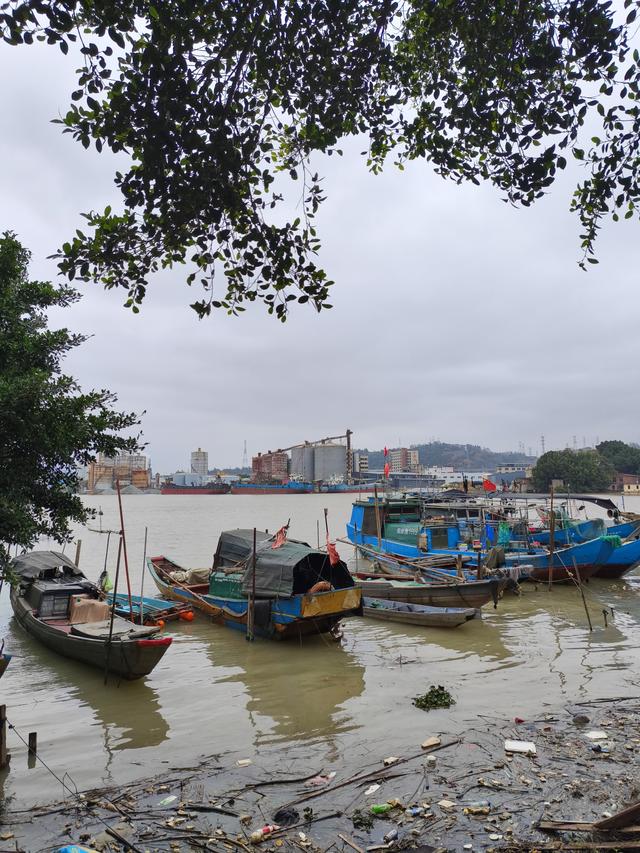 福州近郊最动人的烟火气：新垱村(2026·3·3)