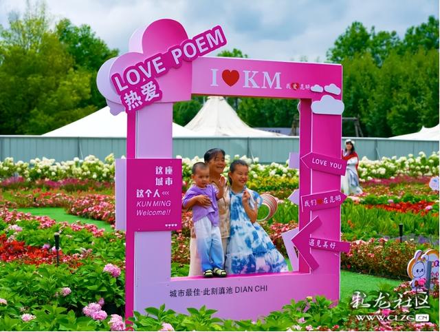 绣球花展点亮滇池
