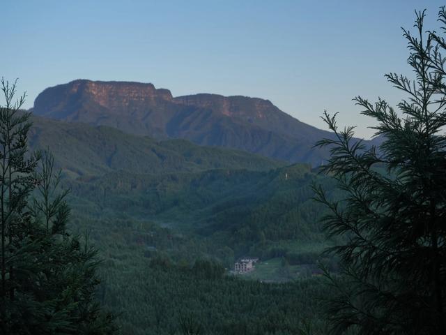 失望的复兴村威尔逊广场