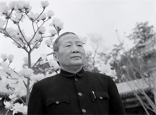 65年彭总重游大渡河，竟然发现：就算把泸定桥炸了，红军也能过河