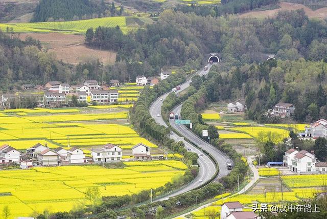 春风十里汉中路：120 公里花海茶园摄影环线