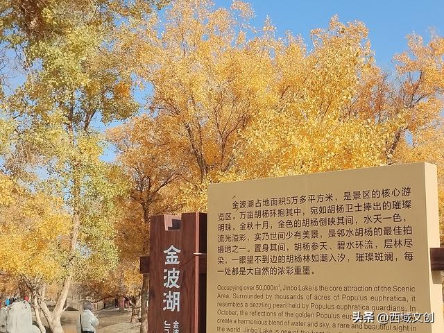 丝路遗迹·寻踪河西｜张耀宇：金塔胡杨是沙漠写给秋天的密语