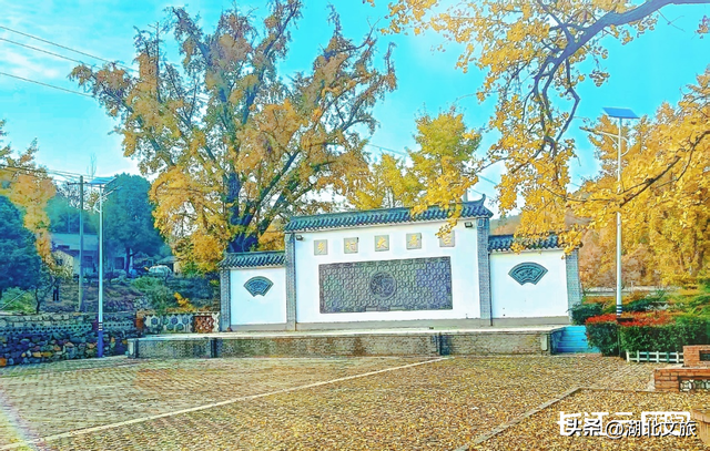 评分秋色：随州为啥被称为“杏”运城市？