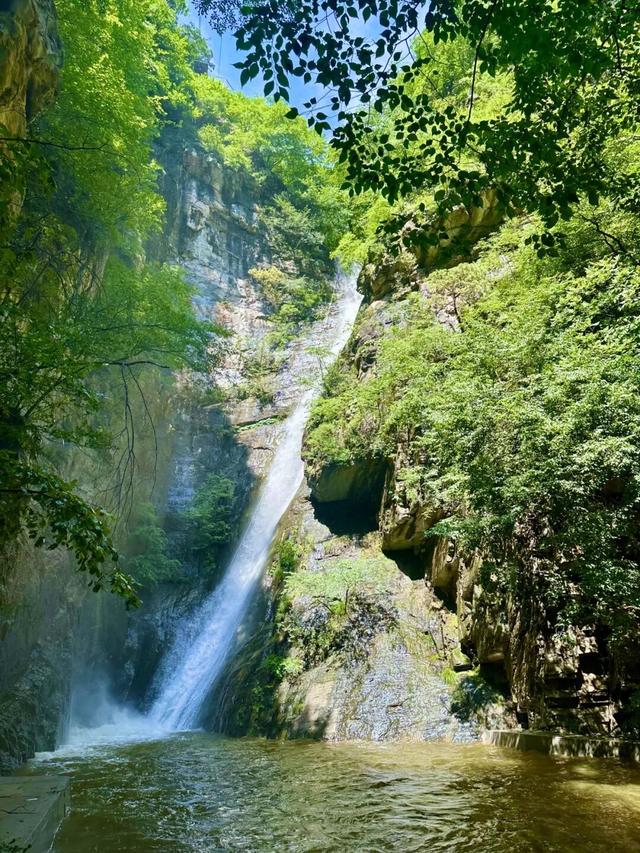 我想离开浪浪山，去房山看看！