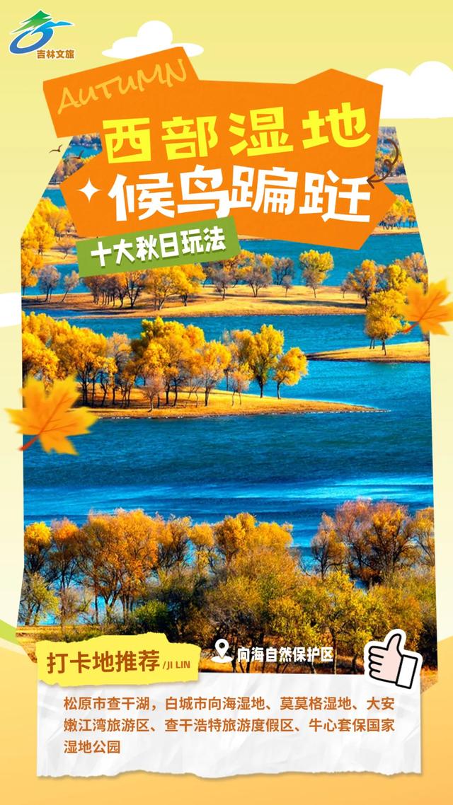 吉线331被夸爆！河北老铁的秋日新“顶流”是吉林！