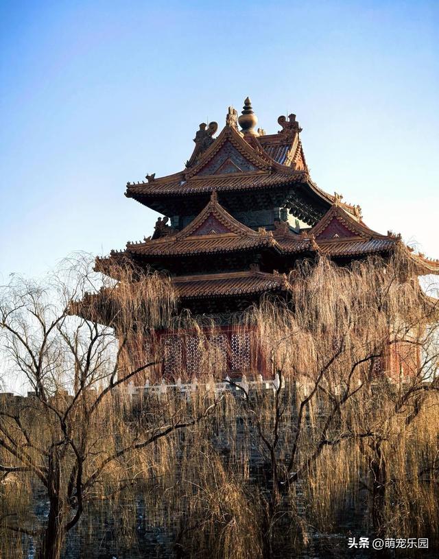 初雪后的故宫角楼，朱红城墙配金黄琉璃瓦，随手一拍都是绝美古韵